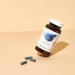 QD1 - Indigo Naturalis, Qing Dai