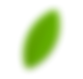 Leaf image