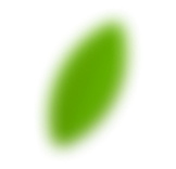leaf image